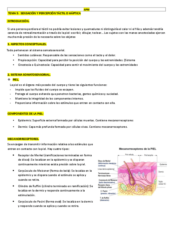 Miniatura del documento TEMA 5.pdf
