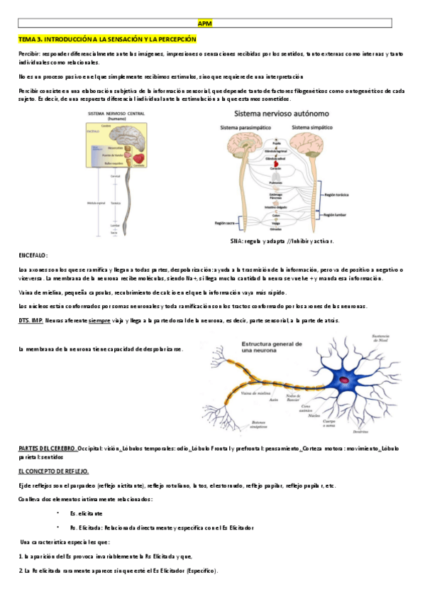 Miniatura del documento TEMA 3.pdf