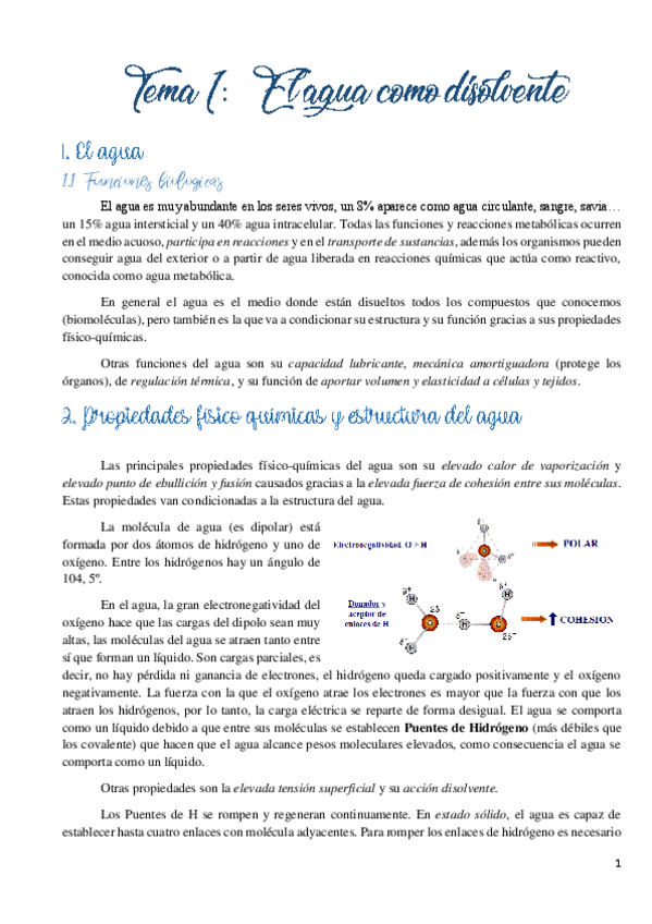 Miniatura del documento Tema 1 El agua como disolvente.pdf