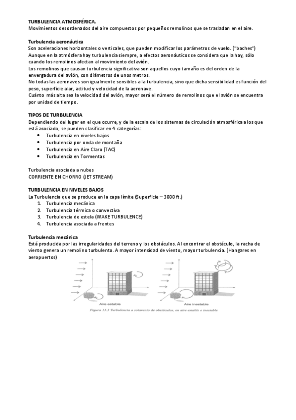 Miniatura del documento Turbulencias.pdf