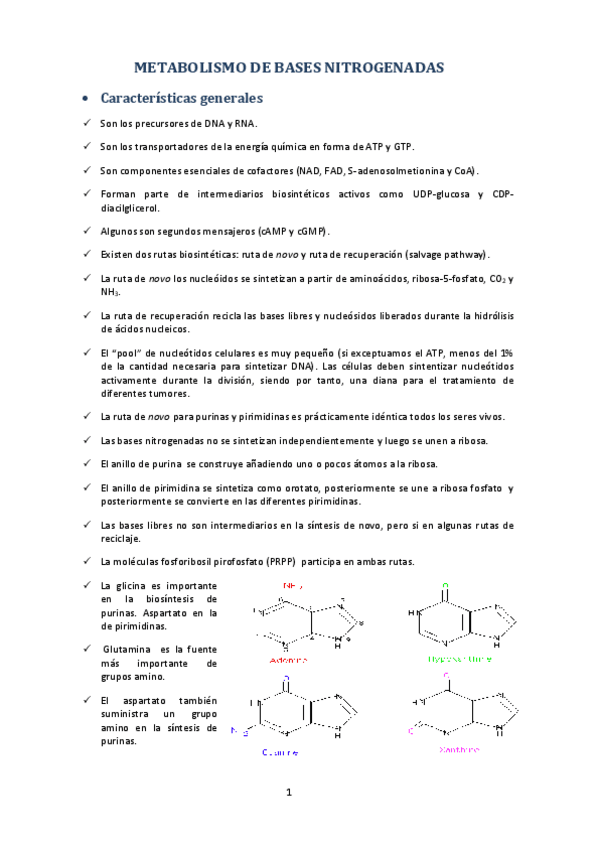 Miniatura del documento METABOLISMO DE BASES NITROGENADAS.pdf