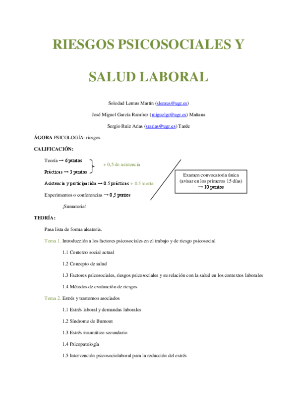 Miniatura del documento RIESGOS PSICOSOCIALES.pdf