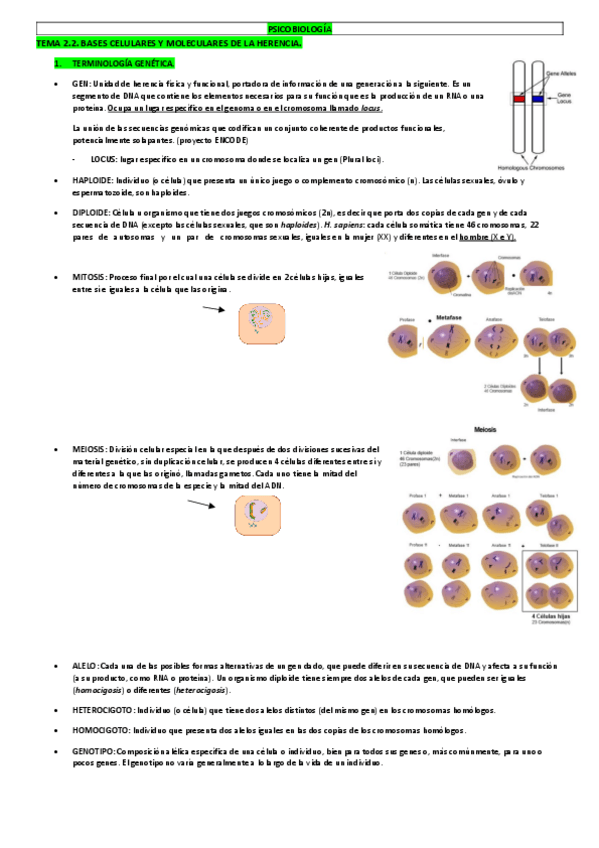 Miniatura del documento TEMA 2.2.pdf