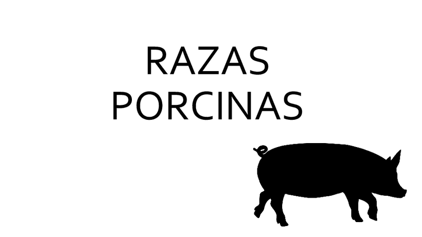 Miniatura del documento RAZAS PORCINAS.pdf