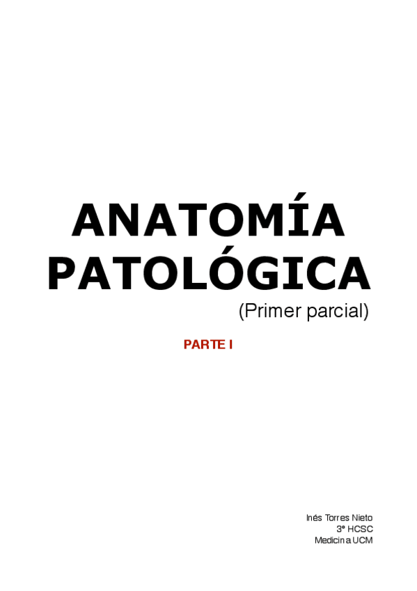 Miniatura del documento AP 1er PARCIAL (arrastrado).pdf