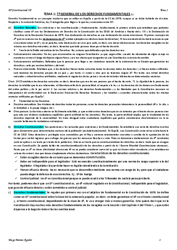 Miniatura del documento TEMA 1 CONSTITUCIONAL III.pdf