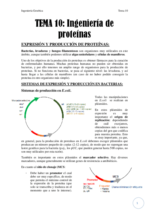 Miniatura del documento Tema 10.pdf