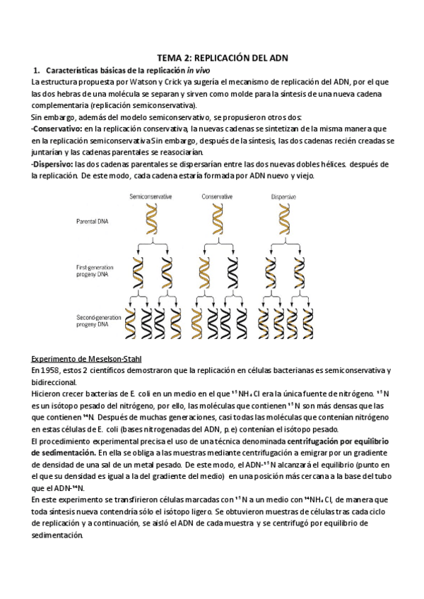 Miniatura del documento TEMA 2_ REPLICACIÓN DEL ADN.pdf