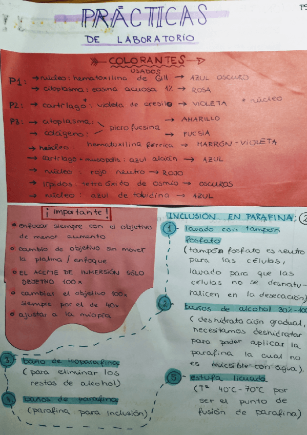 Miniatura del documento Apuntes Prácticas de Laboratorio.pdf