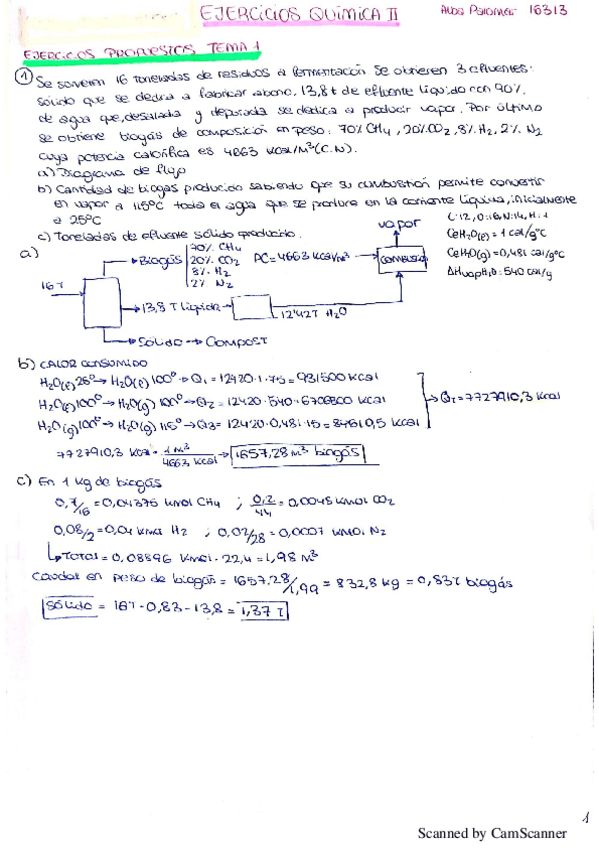 Miniatura del documento EJERCICIOS-RESUELTOS-QUIMICA-II.pdf