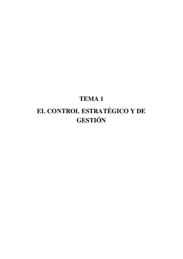 Miniatura del documento Control-de-Gestion.docx
