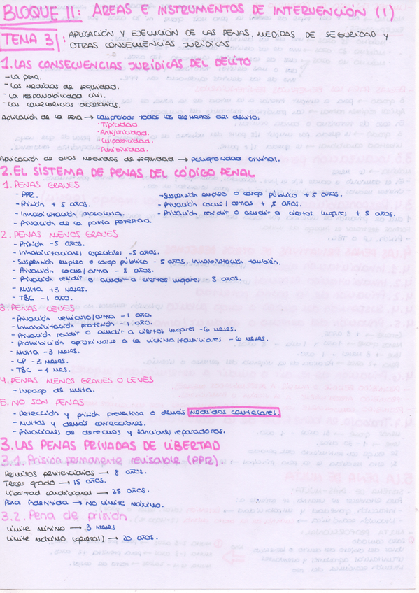 Miniatura del documento Tema-3-1-PENAL.jpeg