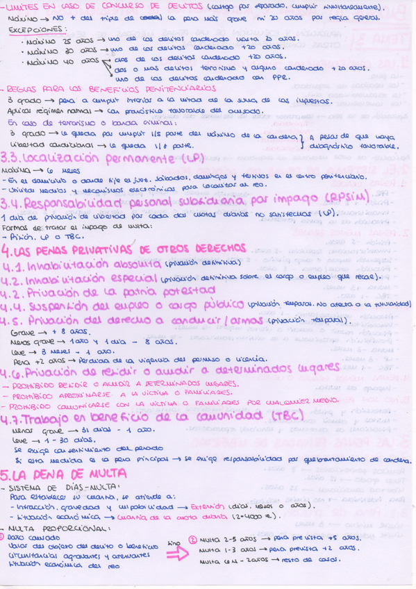 Miniatura del documento Tema-3-2-PENAL.jpeg