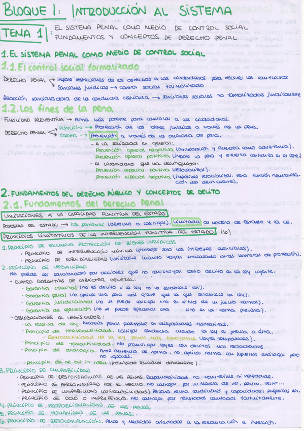 Miniatura del documento Tema-1-1-PENAL.jpeg