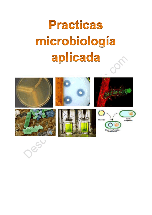 Miniatura del documento Cuadernillo-de-practicas.pdf