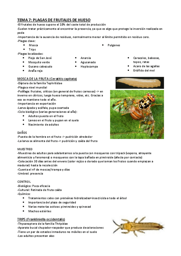 Miniatura del documento Tema-7-PC.pdf