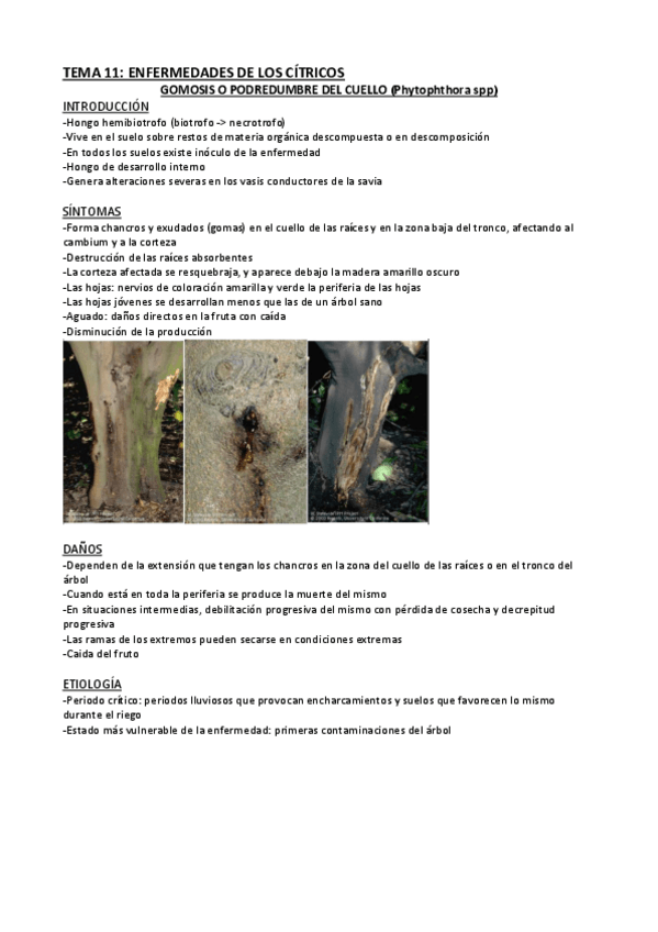 Miniatura del documento Tema-11-PC.pdf