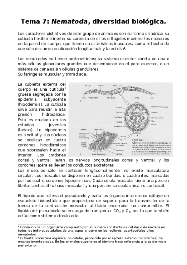 Miniatura del documento Tema-7-Nematoda-diversidad-biologica.docx