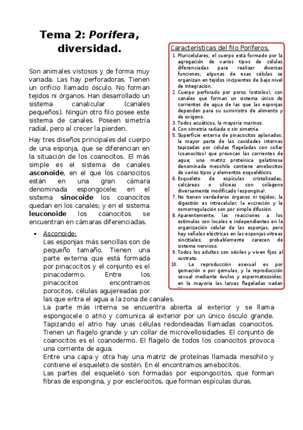 Miniatura del documento Tema-2-Porifera-diversidad.docx