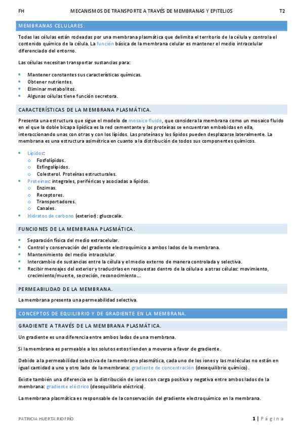 Miniatura del documento T2.pdf