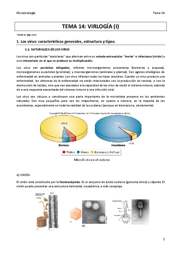 Miniatura del documento TEMA-14.pdf