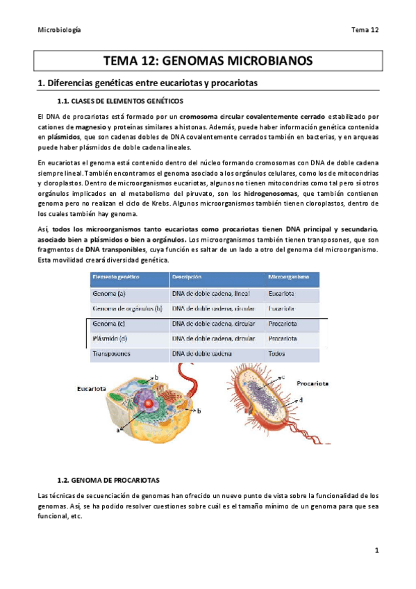 Miniatura del documento TEMA-12.pdf