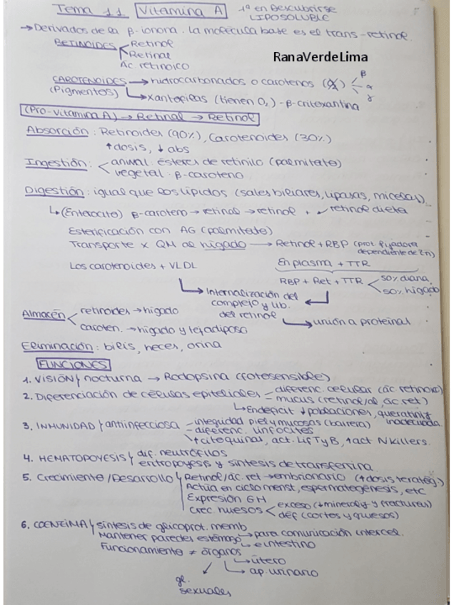 Miniatura del documento Tema-11.pdf