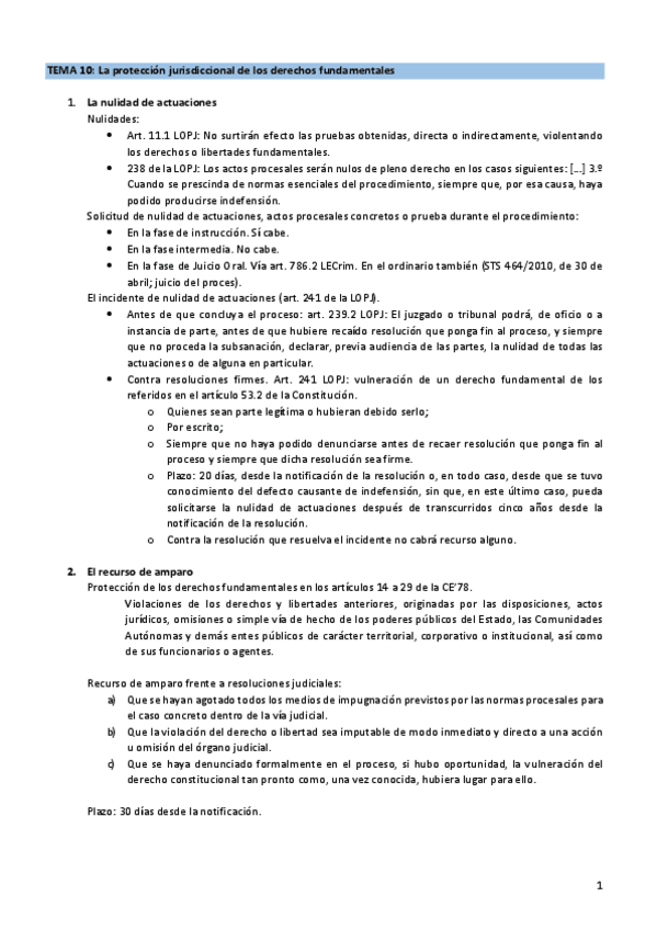 Miniatura del documento Tema-10-la-proteccion-jurisdiccional-de-los-derechos-fundamentales.pdf