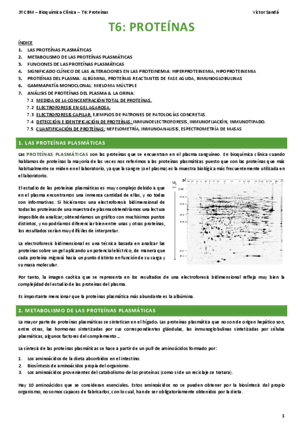 Miniatura del documento BQ-T6-Proteinas.pdf