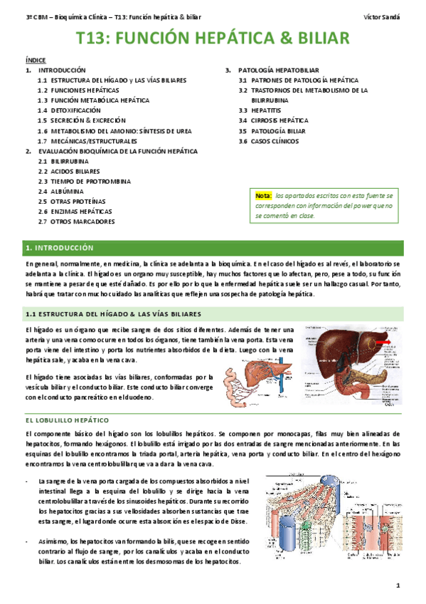 Miniatura del documento BQ-T13-Funcion-hepatica-y-biliar.pdf