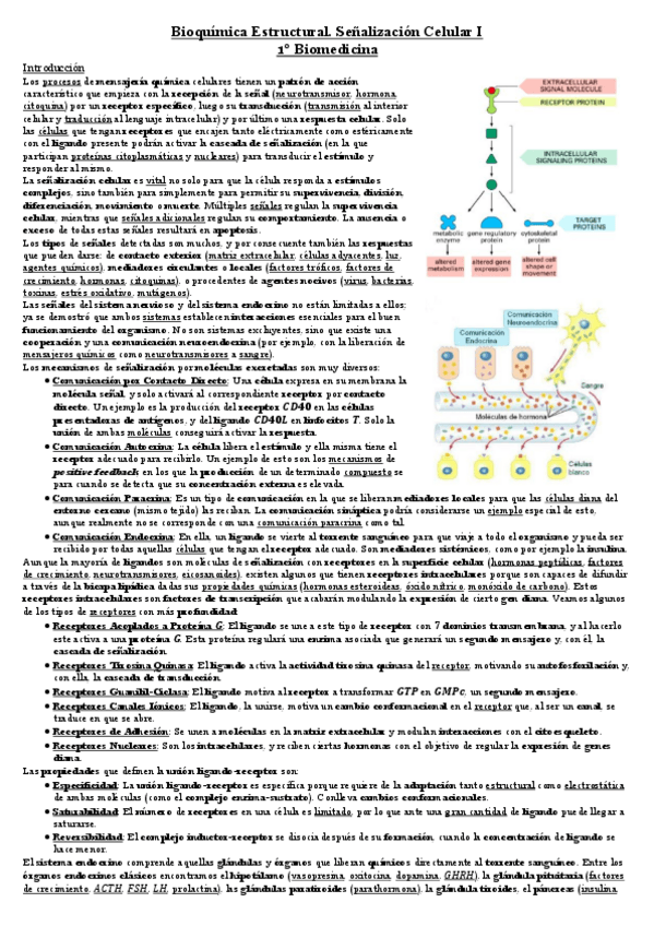Miniatura del documento Senalizacion-1.pdf