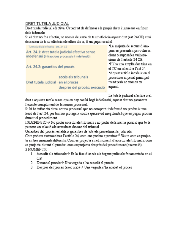 Miniatura del documento Dret-tutela-judicial-efectiva-classe.pdf