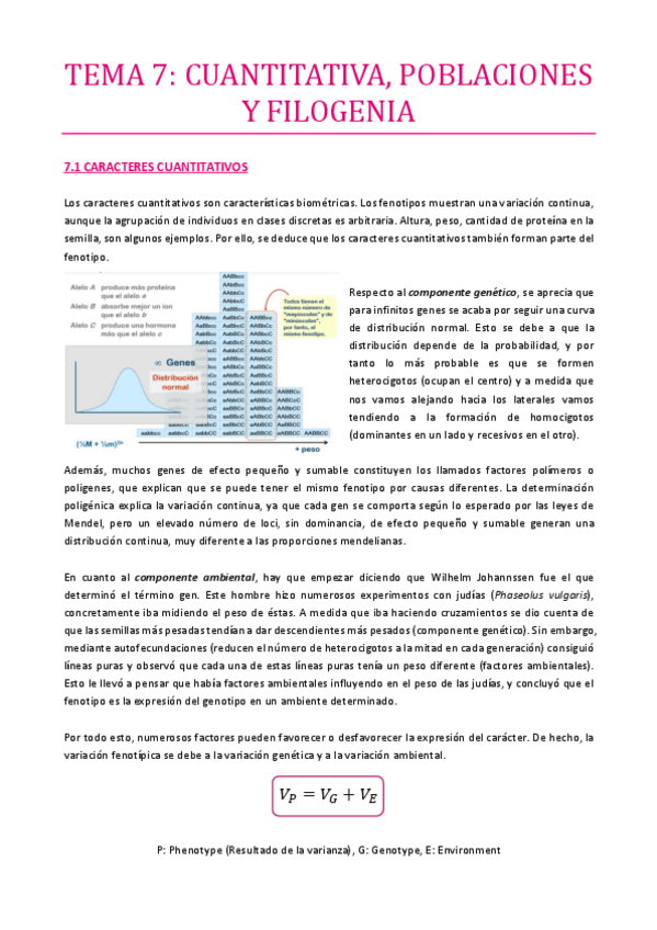 Miniatura del documento TEMA-7.pdf