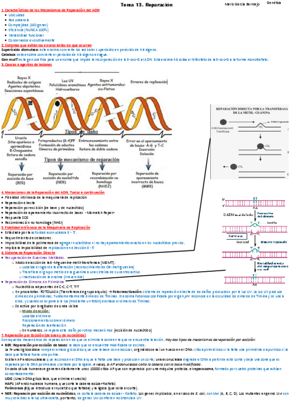 Miniatura del documento T13-reparacion.pdf