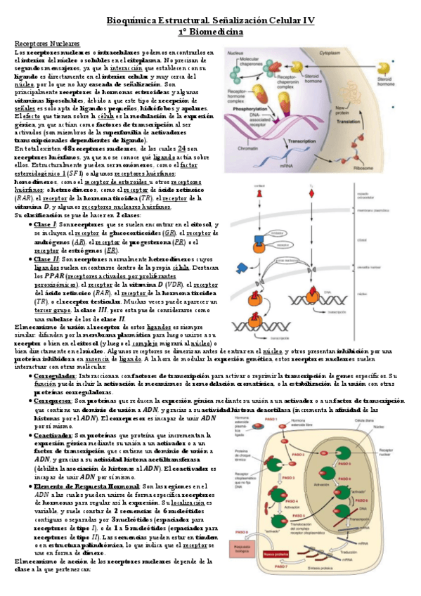 Miniatura del documento Senalizacion-4.pdf