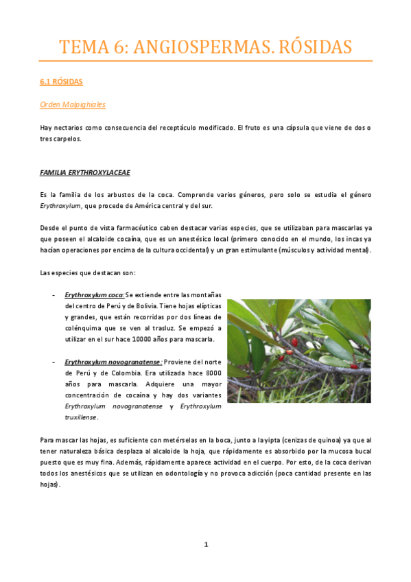 Miniatura del documento TEMA-6.pdf