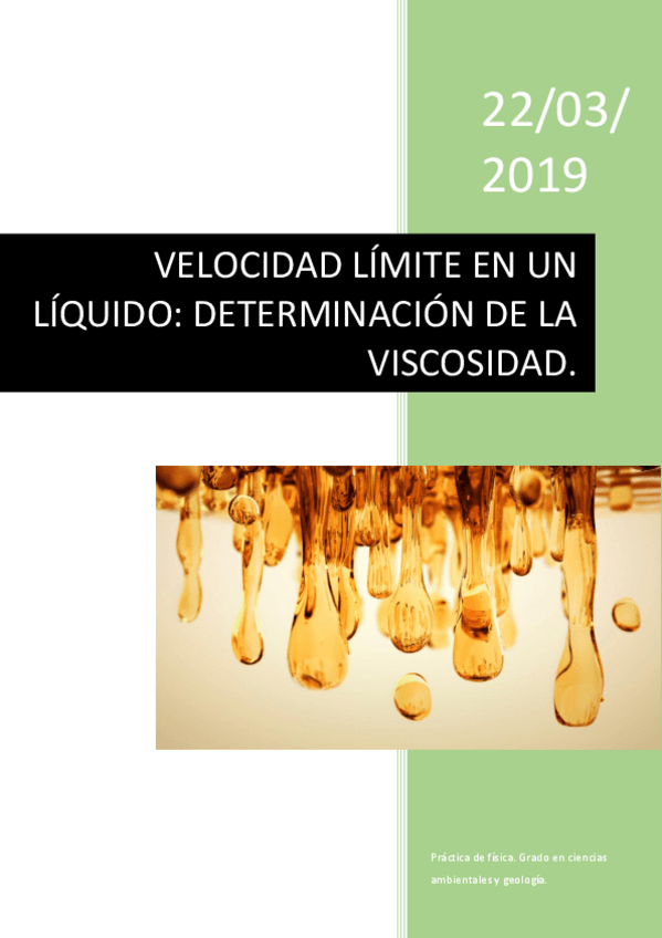 Miniatura del documento MEMORIA-viscosidad-.pdf
