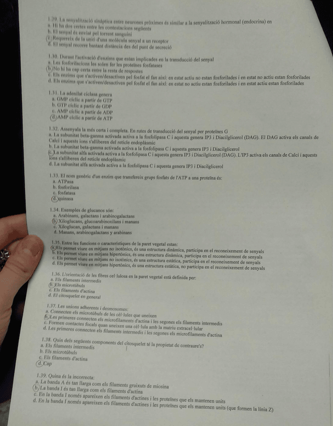 Miniatura del documento 4.jpg