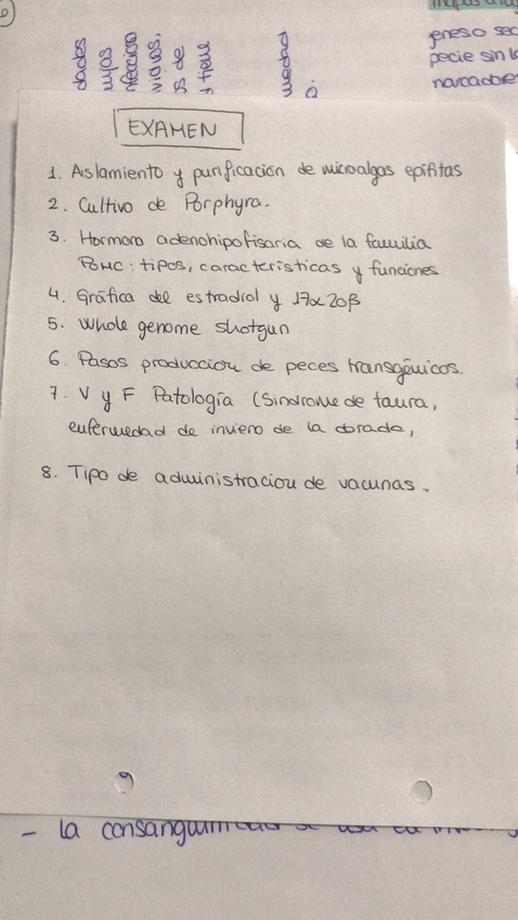 Miniatura del documento WhatsApp-Image-2019-01-12-at-181000.jpeg