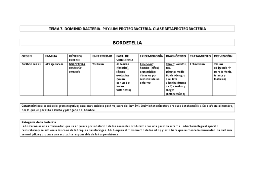 Miniatura del documento CUADRO TEMA 7.pdf