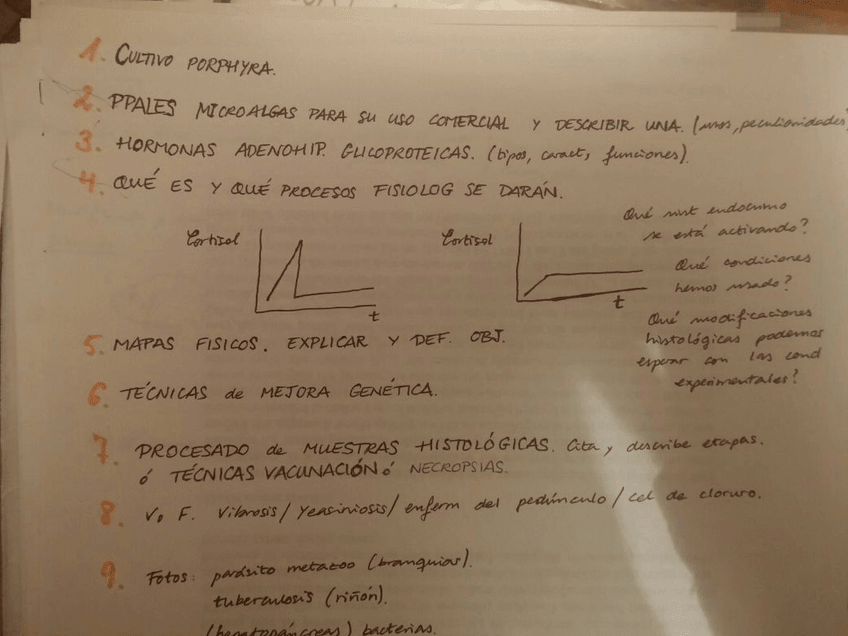 Miniatura del documento IMG20170125202543.jpg