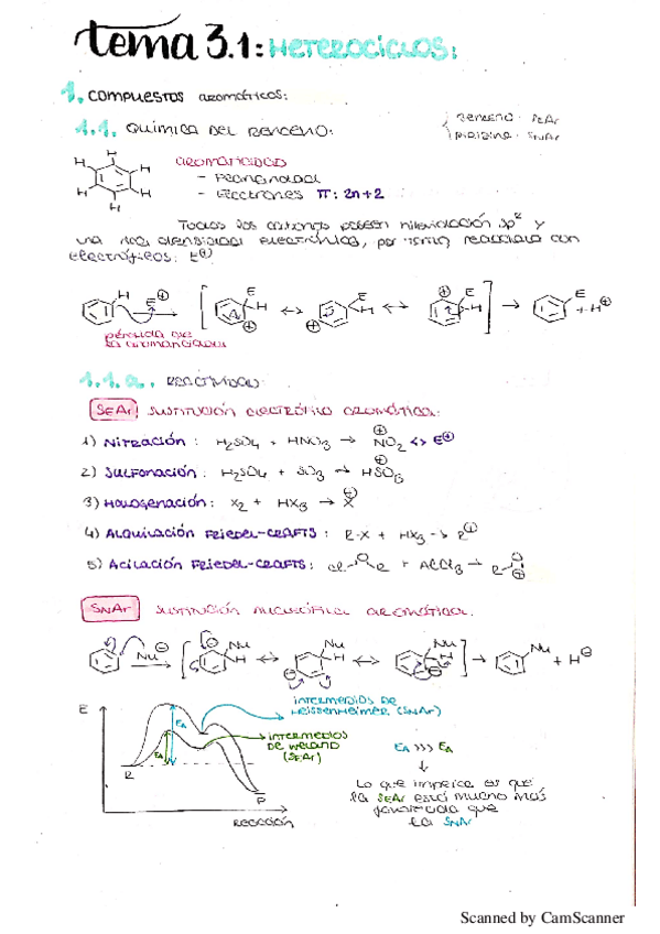 Miniatura del documento Heterociclos-Teoria.pdf