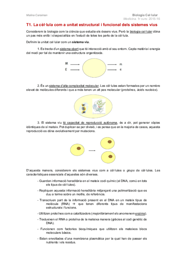 Miniatura del documento T1.pdf