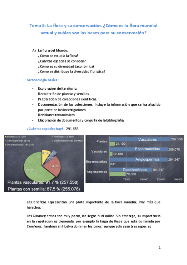 Miniatura del documento FVM-T5.pdf