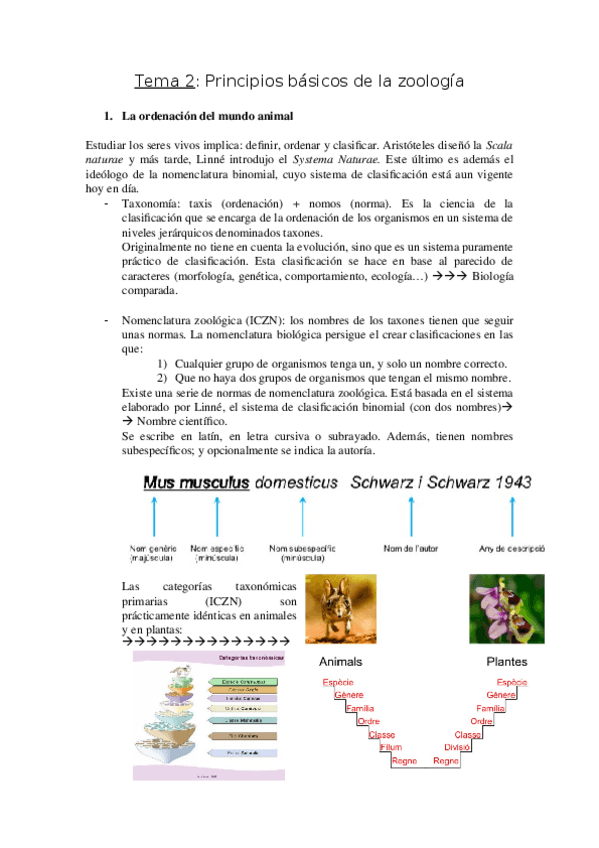 Miniatura del documento Apuntes-Tema-2-zoologia.docx