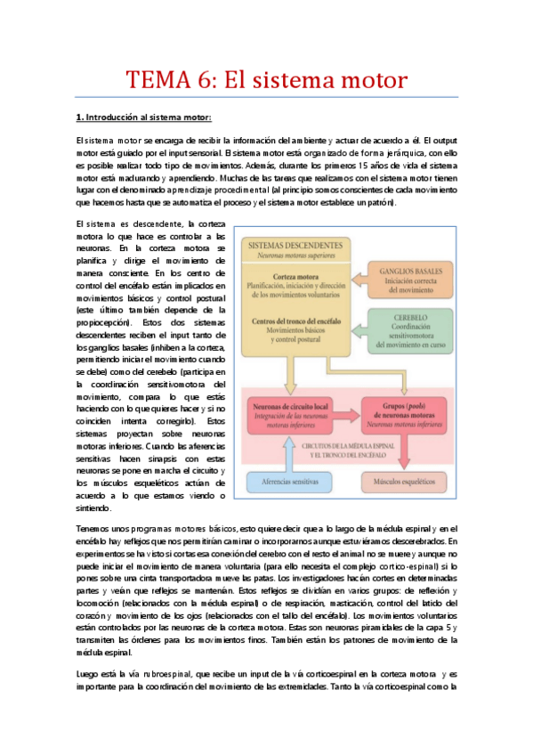 Miniatura del documento Tema-6-Los-sistemas-motores.pdf