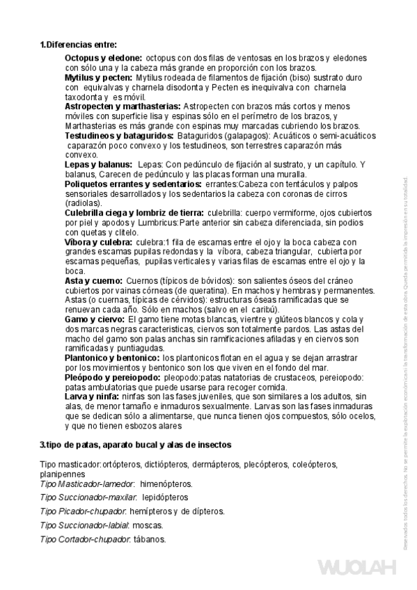 Miniatura del documento VISU-TEORIA-PARA-APROBAR.pdf