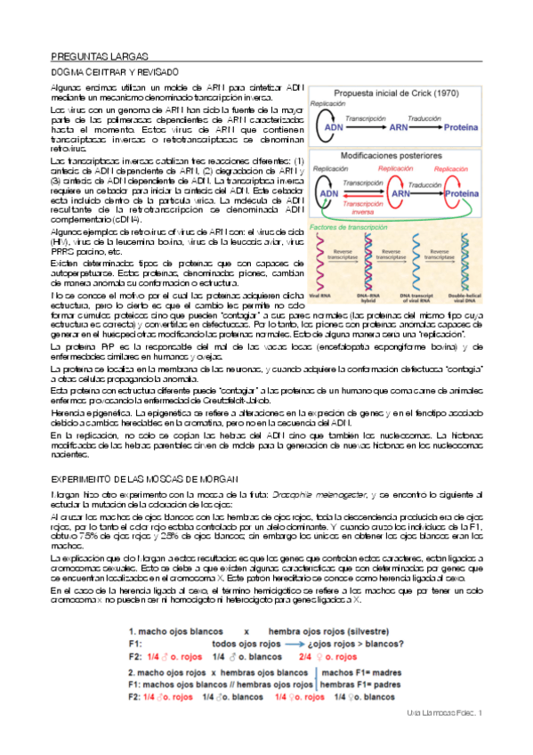 Miniatura del documento Examen-copia.pdf