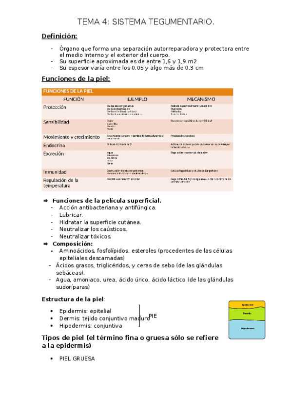 Miniatura del documento TEMA-4.docx