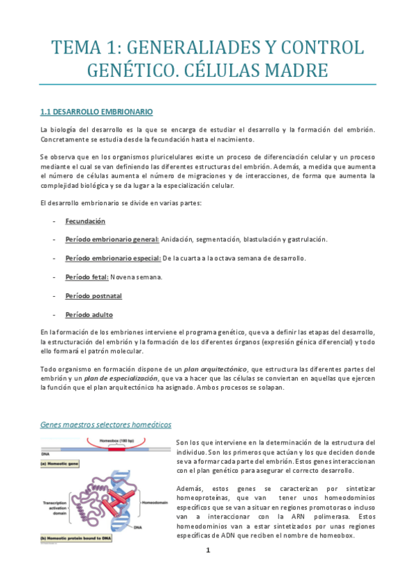 Miniatura del documento TEMA-1.pdf